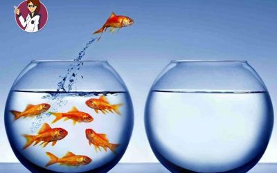 LOS CAMBIOS SON NECESARIOS