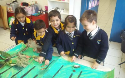 NUESTRO ENTORNO DE MANERA ENTRETENIDA