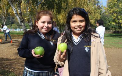 CUARTOS BÁSICOS EN CURSOS “AVANZADOS” DE VIDA E IMPLANTACIÓN DE HABITOS SALUDABLES