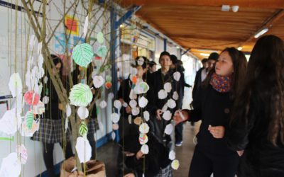 DÍA DEL MEDIO AMBIENTE