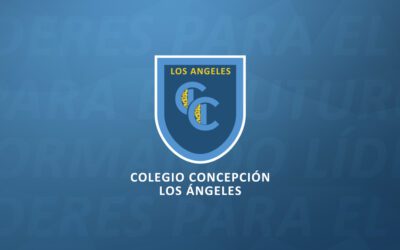 DECLARACION DE VOLUNTARIEDAD PRESENCIAL