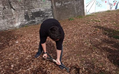 Segundos medios trabajando por la sustentabilidad