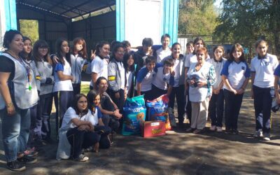 Actividad Solidaria Séptimo Básico A