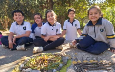 Land Art 4° Básico B