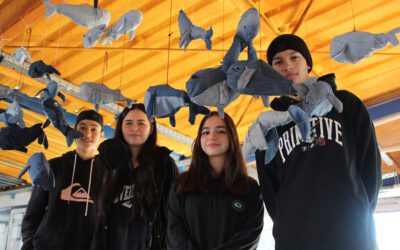 Instalaciones Artísticas