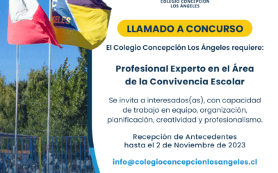Llamado a Concurso: Profesional Experto en el Área de la Convivencia Escolar