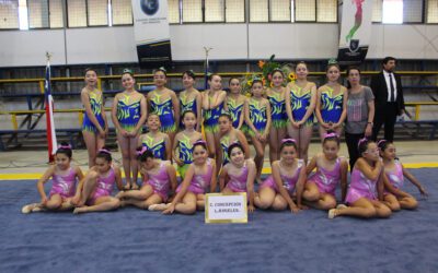 Festival de Gimnasia Rítmica 2023