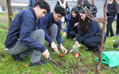 Día Mundial del Medio Ambiente