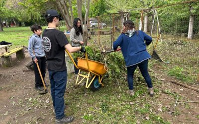 Embajadores Medioambientales en Acción