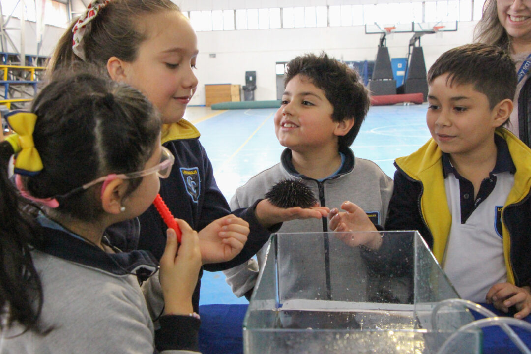 Cuidando Nuestros Mares: Educación Ambiental y Biodiversidad Marina en el Mes del Mar