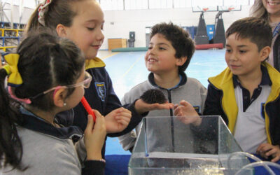 Cuidando Nuestros Mares: Educación Ambiental y Biodiversidad Marina en el Mes del Mar