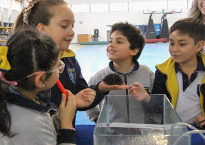 Cuidando Nuestros Mares: Educación Ambiental y Biodiversidad Marina en el Mes del Mar